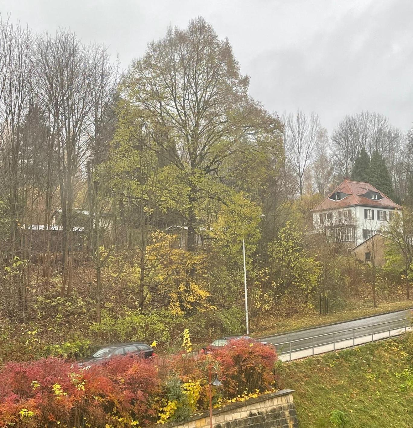 Apartment Brauhaus 20 Sebnitz